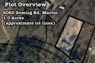 6060 Gumlog Rd, Martin, GA 30557 - Photo 26