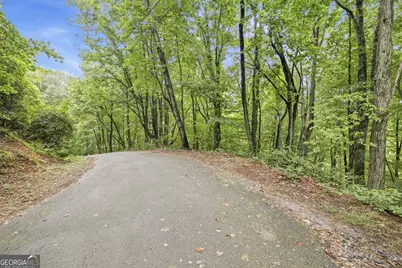 0 Jim Wallace Lane, Clayton, GA 30525 - Photo 8