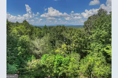 8 North Face Drive, Blue Ridge, GA 30513 - Photo 20