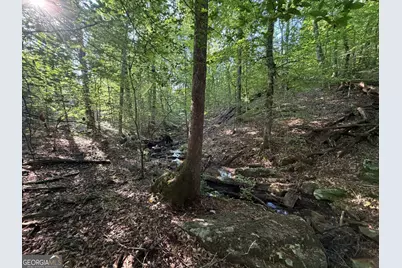 15.62 Acres Carlisle Gap Road, Woodland, GA 31836 - Photo 14