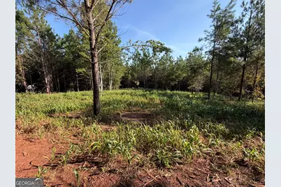 15.62 Acres Carlisle Gap Road, Woodland, GA 31836 - Photo 18