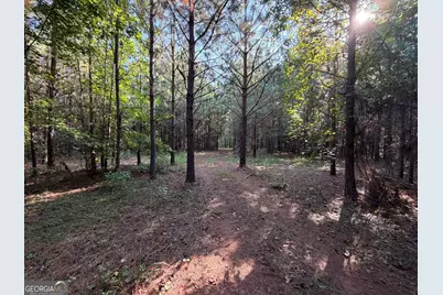 15.62 Acres Carlisle Gap Road, Woodland, GA 31836 - Photo 16