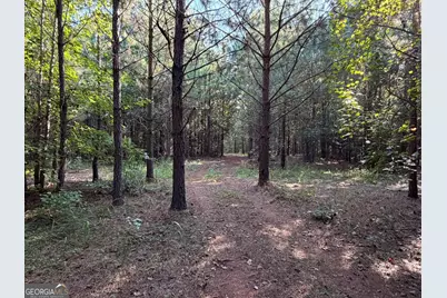 17 Acres Carlisle Gap Road, Woodland, GA 31836 - Photo 12