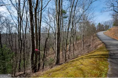 Lot 7 Oceola Drive, Ellijay, GA 30540 - Photo 6