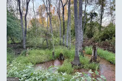 0 Old Moore Road #1, Portal, GA 30450 - Photo 14