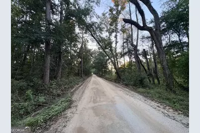 0 Old Moore Road #2, Portal, GA 30450 - Photo 10