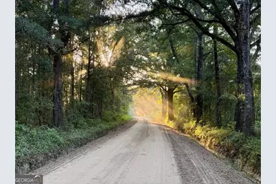 0 Old Moore Road #3, Portal, GA 30450 - Photo 1