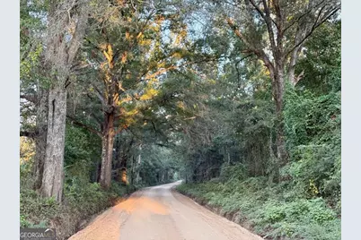 0 Old Moore Road #5, Portal, GA 30450 - Photo 6