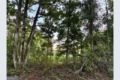 0 Old Moore Road #5, Portal, GA 30450 - Photo 8