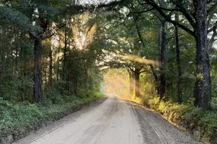 0 Old Moore Rd, Portal, GA 30450 - Photo 1