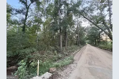 0 Old Moore Road #6, Portal, GA 30450 - Photo 10