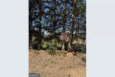 131 Oak Road #LOT 15, Locust Grove, GA 30248 - Photo 1