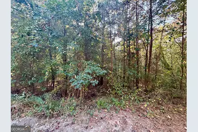 0 Dove Court #LOT 113, Monticello, GA 31064 - Photo 6