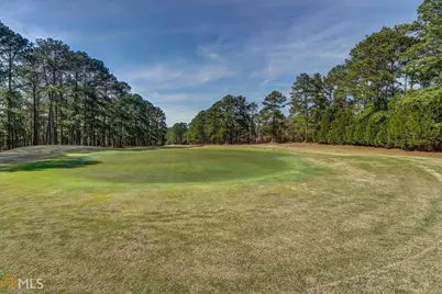 0 Dove Court #LOT 113, Monticello, GA 31064 - Photo 12