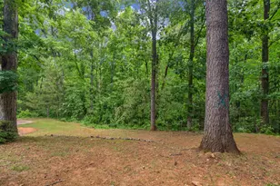 100 SW Sable Circle, Covington, GA 30016 - Photo 36