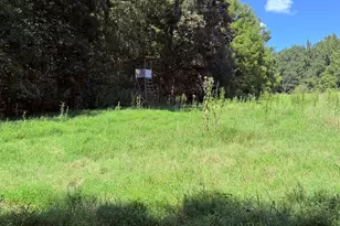 1333 E Hill St, Washington, GA 30673 - Photo 22