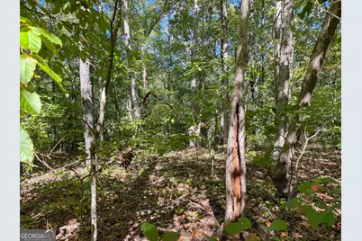 0 (Barrington Subd) 16 Approved #LOTS READY TO BUILD, Covington, GA 30016 - Photo 10