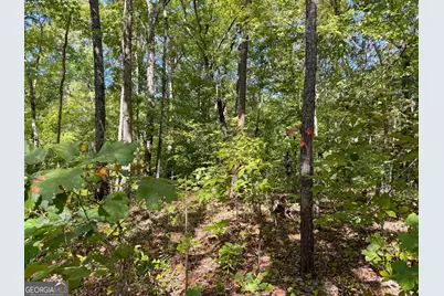 0 (Barrington Subd) 16 Approved #LOTS READY TO BUILD, Covington, GA 30016 - Photo 12