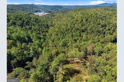 0 Dell Moore Road #LOT 3, Marble Hill, GA 30148 - Photo 10