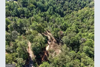 0 Dell Moore Road #LOT 3, Marble Hill, GA 30148 - Photo 12