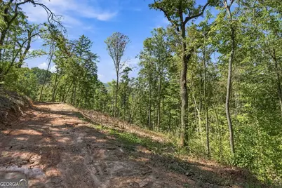 0 Dell Moore Road #LOT 3, Marble Hill, GA 30148 - Photo 8