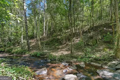 0 Dell Moore Road #LOT 3, Marble Hill, GA 30148 - Photo 1