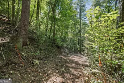 0 Dell Moore Road #LOT 3, Marble Hill, GA 30148 - Photo 6
