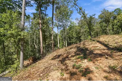 0 Dell Moore Road #LOT 4, Marble Hill, GA 30148 - Photo 8