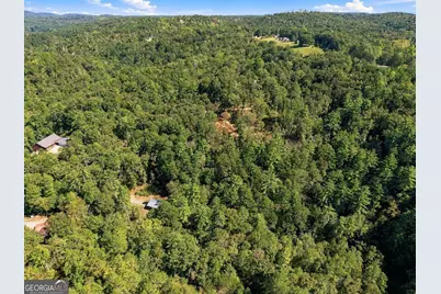 0 Dell Moore Road #LOT 4, Marble Hill, GA 30148 - Photo 14