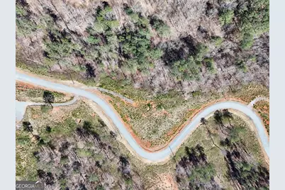 155 Shallow Water Trail, Talking Rock, GA 30175 - Photo 12