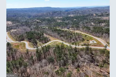 155 Shallow Water Trail, Talking Rock, GA 30175 - Photo 22