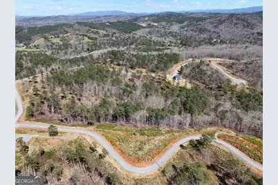 155 Shallow Water Trail, Talking Rock, GA 30175 - Photo 2