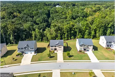 230 Blossom Wood Drive, Senoia, GA 30276 - Photo 62