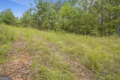 138 Roy Dean Road, Buchanan, GA 30113 - Photo 24
