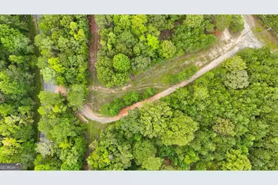 138 Roy Dean Road, Buchanan, GA 30113 - Photo 8