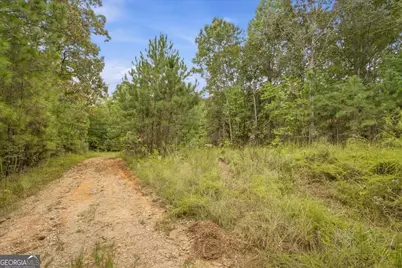 138 Roy Dean Road, Buchanan, GA 30113 - Photo 26