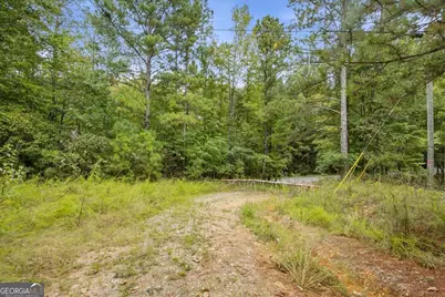 138 Roy Dean Road, Buchanan, GA 30113 - Photo 16