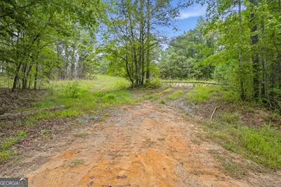 138 Roy Dean Road, Buchanan, GA 30113 - Photo 20