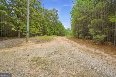 138 Roy Dean Road, Buchanan, GA 30113 - Photo 28
