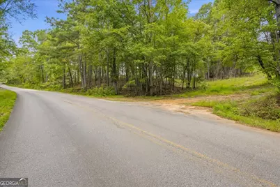 138 Roy Dean Road, Buchanan, GA 30113 - Photo 22