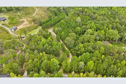 138 Roy Dean Road, Buchanan, GA 30113 - Photo 36