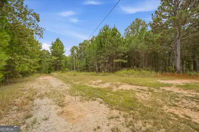 138 Roy Dean Road, Buchanan, GA 30113 - Photo 14