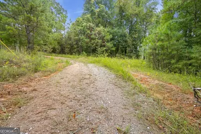138 Roy Dean Road, Buchanan, GA 30113 - Photo 18