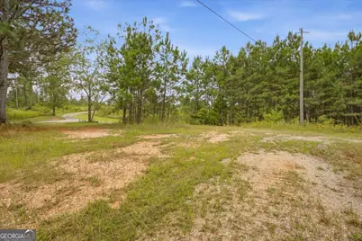 138 Roy Dean Road, Buchanan, GA 30113 - Photo 12