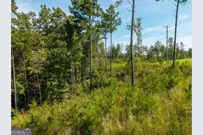 Lt 141 Blalock Mountain Road, Talking Rock, GA 30175 - Photo 18