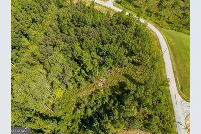 Lt 141 Blalock Mountain Road, Talking Rock, GA 30175 - Photo 10