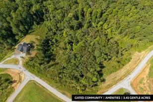 Lt 141 Blalock Mountain Rd, Talking Rock, GA 30175 - Photo 1