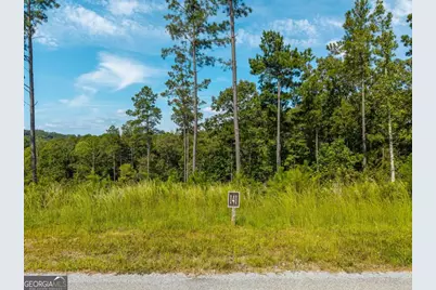 Lt 141 Blalock Mountain Road, Talking Rock, GA 30175 - Photo 20