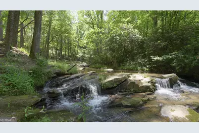 Lt 141 Blalock Mountain Road, Talking Rock, GA 30175 - Photo 30