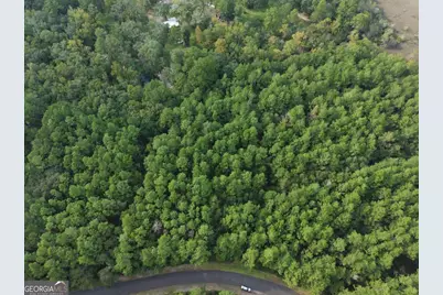 Lot 20 James Lane, White Oak, GA 31568 - Photo 12